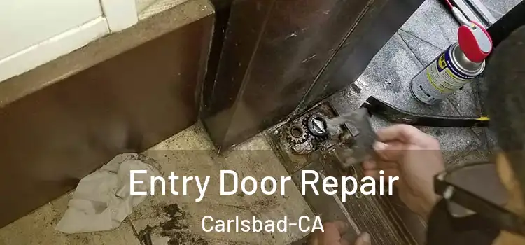  Entry Door Repair Carlsbad-CA